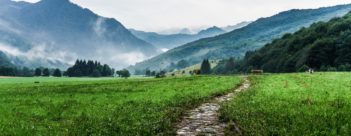 Leader’s Introduction