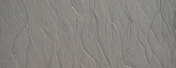 Session 3 – Daniel 3 and 6