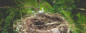 Session 1 – The Saviour of the World