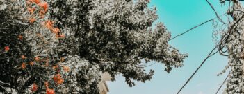 Session 3: Not Ashamed