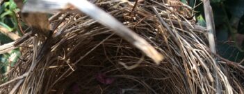 Session 3 – The Prophet