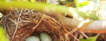 Session 6 – The Light of the World