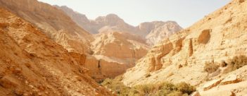 Session 7 – Josiah