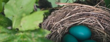 Leader’s Introduction