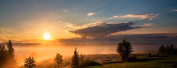 Make the Most of this Study Course