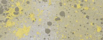 Leader’s Introduction