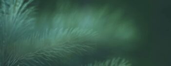 Session 1 – Grumbling against God