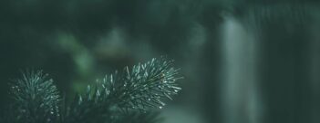 Session 2 – Rejecting God’s gift