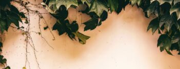 Session 2: A Curse on the Clergy!