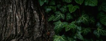 Session 4: Where is the God of Justice?