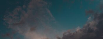 Session 4: The Beasts