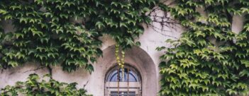 Session 5: Robbing God