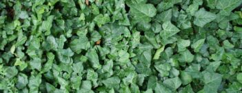 Session 6: Is serving God a waste of time?