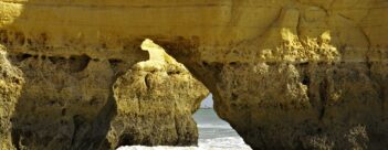 Leader’s Introduction