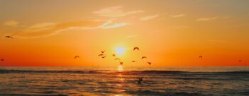 Leader’s Introduction