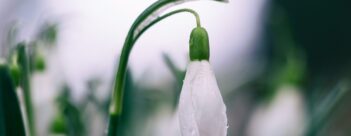 What Science and Faith Can Teach Us About Creation Care – Session Seven