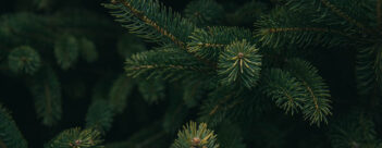 ADVENT Week One: A Time for Encouragement – First Sunday of Advent