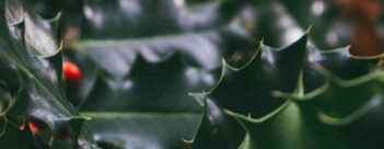 ADVENT Week One – Monday