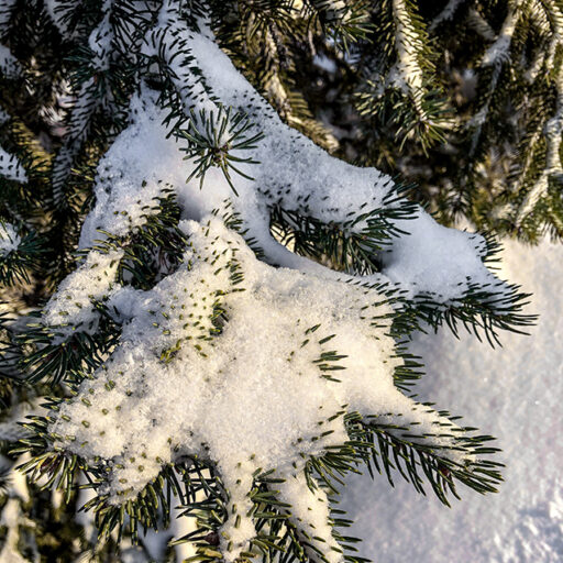 ADVENT Week Four – Wednesday